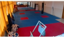 Protocolo de colaboração com a Associação Seishin Kyokushin Karate Portugal